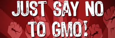 Just say no …. to GMO!!! | It Is What It Is
